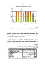 Biznesa plāns 'Dizaina studijas izveidošana', 19.