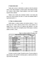 Biznesa plāns 'Dizaina studijas izveidošana', 23.