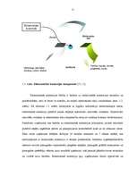 Diplomdarbs 'Elektroniskās un tradicionālās komercijas salīdzinājums', 15.