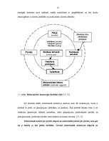 Diplomdarbs 'Elektroniskās un tradicionālās komercijas salīdzinājums', 16.