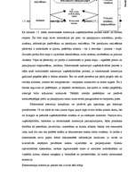Diplomdarbs 'Elektroniskās un tradicionālās komercijas salīdzinājums', 19.