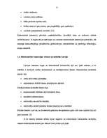 Diplomdarbs 'Elektroniskās un tradicionālās komercijas salīdzinājums', 20.