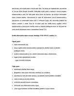 Diplomdarbs 'Elektroniskās un tradicionālās komercijas salīdzinājums', 26.