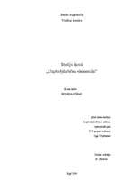 Biznesa plāns 'Biznesa plāns restorānam', 1.