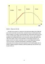 Biznesa plāns 'Biznesa plāns restorānam', 14.