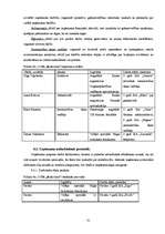 Biznesa plāns 'Biznesa plāns restorānam', 31.