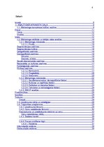 Diplomdarbs 'Mārketinga kompleksa izveide un vadīšana uzņēmumā', 4.