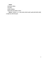 Referāts 'Zinātniski pētnieciskais darbs par karjeras izvēli un iespējām', 6.