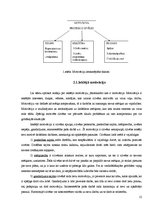 Referāts 'Zinātniski pētnieciskais darbs par karjeras izvēli un iespējām', 12.