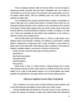 Referāts 'Zinātniski pētnieciskais darbs par karjeras izvēli un iespējām', 14.