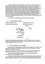 Referāts 'Nauda', 29.