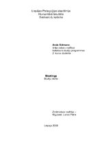 Referāts 'Meetings', 2.