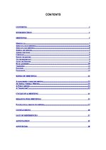 Referāts 'Meetings', 3.