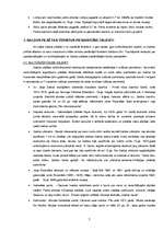 Referāts 'Saldus tūrisma resursu analīze un jauna iespējama tūrisma produkta piedāvājums', 7.