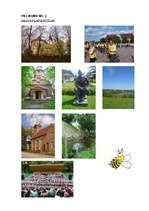 Referāts 'Saldus tūrisma resursu analīze un jauna iespējama tūrisma produkta piedāvājums', 16.