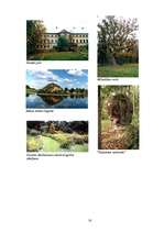 Referāts 'Saldus tūrisma resursu analīze un jauna iespējama tūrisma produkta piedāvājums', 18.