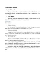 Konspekts 'Didaktiskā spēle un rituāli pirmsskolas bērniem', 3.