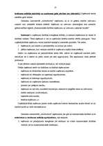 Prakses atskaite 'Prakse lauku tūrisma uzņēmumā. Uzņēmuma darbības analīze, attīstības plānošana', 19.