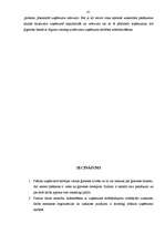Prakses atskaite 'Prakse lauku tūrisma uzņēmumā. Uzņēmuma darbības analīze, attīstības plānošana', 41.