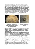 Referāts 'Vulkāni', 8.