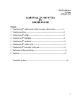 Referāts 'Uzņēmuma "X" struktūra un raksturojums', 1.