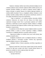 Referāts 'Uzņēmuma "X" struktūra un raksturojums', 7.