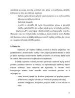 Referāts 'Uzņēmuma "X" struktūra un raksturojums', 15.