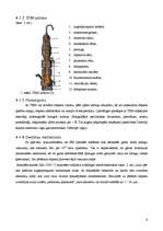 Referāts 'Elektronu mikroskops', 6.