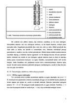 Referāts 'Elektronu mikroskops', 7.