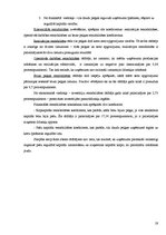 Prakses atskaite 'SIA "THB" finansiālā stāvokļa izvērtēšana un attīstības programmas', 19.