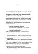 Referāts 'Zinātniski fantastiskie elementi Egīla Ermandsona romānā "Mala"', 3.