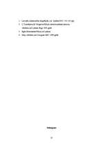 Referāts 'Zinātniski fantastiskie elementi Egīla Ermandsona romānā "Mala"', 20.