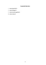 Referāts 'Pašvaldības tūrisma plānošana Krimuldas novadā', 11.
