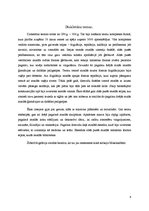 Referāts 'Antīkās Romas termas', 6.