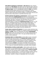 Konspekts 'Maiju civilizācija: vēsture, kultūra, mitoloģija, sabiedrība un kultūras mantoju', 3.