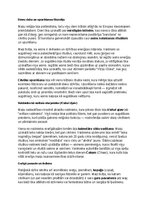 Konspekts 'Maiju civilizācija: vēsture, kultūra, mitoloģija, sabiedrība un kultūras mantoju', 5.