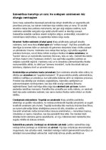 Konspekts 'Maiju civilizācija: vēsture, kultūra, mitoloģija, sabiedrība un kultūras mantoju', 15.