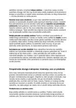 Konspekts 'Maiju civilizācija: vēsture, kultūra, mitoloģija, sabiedrība un kultūras mantoju', 16.