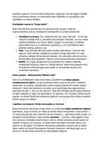 Konspekts 'Maiju civilizācija: vēsture, kultūra, mitoloģija, sabiedrība un kultūras mantoju', 19.