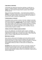 Konspekts 'Maiju civilizācija: vēsture, kultūra, mitoloģija, sabiedrība un kultūras mantoju', 25.
