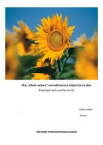 Referāts 'Vadības teorija; vispārējās kvalitātes menedžments', 1.