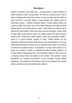 Referāts 'Tjuringa mašīna', 15.