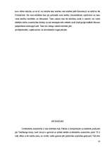 Referāts 'Valsts un pašvaldības iestādes', 19.