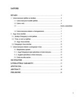 Referāts 'Lāzera ЛГН-109 starojuma ietekme uz ģerāniju. Vīrusu pētīšana', 2.