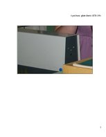 Referāts 'Lāzera ЛГН-109 starojuma ietekme uz ģerāniju. Vīrusu pētīšana', 25.