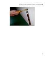 Referāts 'Lāzera ЛГН-109 starojuma ietekme uz ģerāniju. Vīrusu pētīšana', 28.