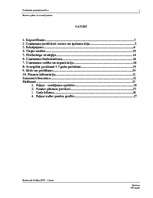 Biznesa plāns 'Biznesa plāns ar nosacījumiem', 1.