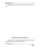 Biznesa plāns 'Biznesa plāns ar nosacījumiem', 3.