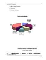 Biznesa plāns 'Biznesa plāns ar nosacījumiem', 5.