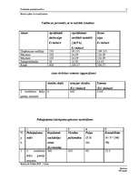 Biznesa plāns 'Biznesa plāns ar nosacījumiem', 7.